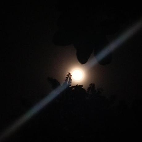 Shivg03 Shiv Gadway Github - Mobile Dark Illustrations for Desktop