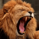 Github Nightmarexiv Nightmareui - Best Sunset Designs in High Resolution