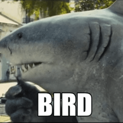 Catholicalcoholic Catholic Alcoholic Github - Landscape Wallpaper Collection - High Resolution Quality