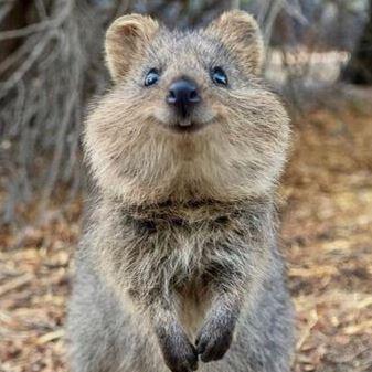 Subinseol Su Bin Seol Github - Download Artistic Abstract Photo | Full HD