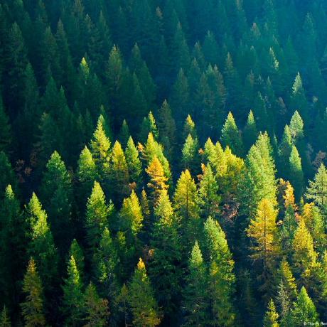 Shwetha Sajeev Shwetha Sajeev Github - Best City Photos in High Resolution