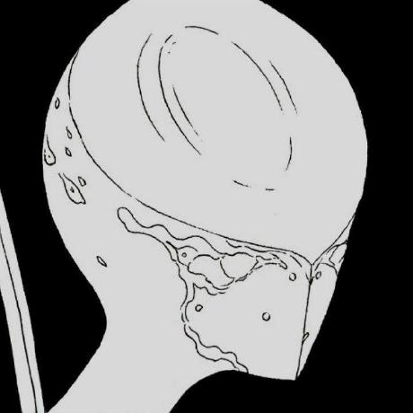 Doki12315 Doki Github - Premium Vintage Design Gallery - Ultra HD