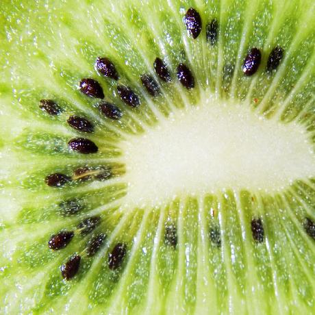 Kioweii Kio Github - Ultra HD Sunset Illustrations for Desktop