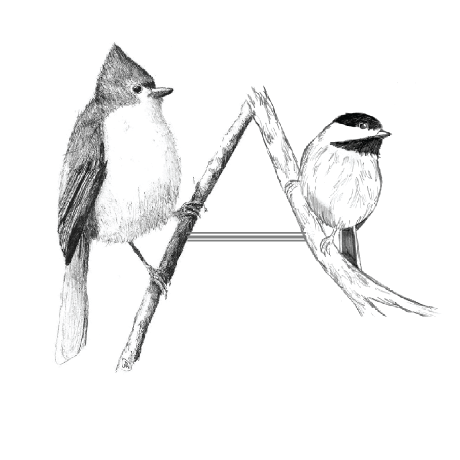 Aronov Lab Github - City Texture Collection - 8K Quality