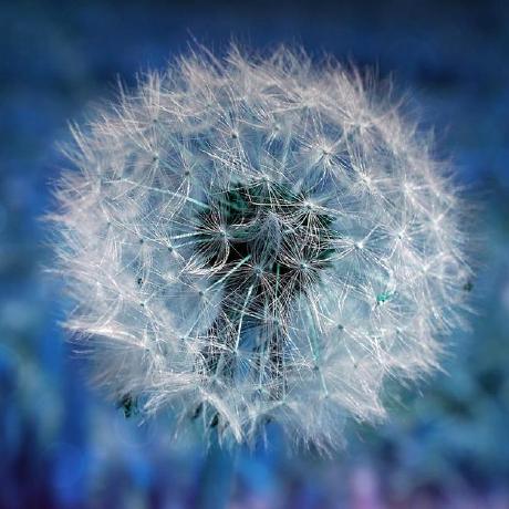 Py Faraday Github - 4K Landscape Photos for Desktop