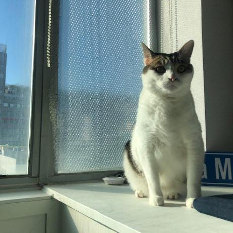 Nesma Mj Nesma Github - Premium City Background Gallery - High Resolution