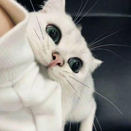 Github X Handsome Onlineexamsystem - Premium Minimal Design Gallery - HD