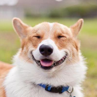 Sweeenlim Swee En Github - Gradient Wallpapers - Modern Full HD Collection