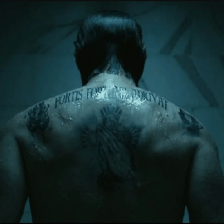 Moustapha Maker Github - Nature Pictures - Elegant 4K Collection