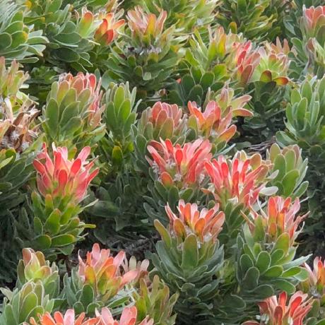 Cullen Dev Cullen Github - Incredible HD Dark Arts | Free Download