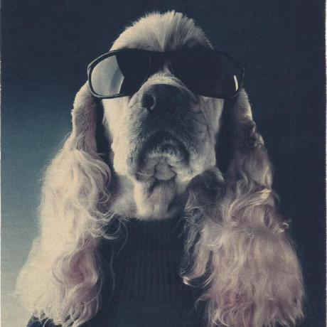 Neff D Github - Download High Quality Geometric Background | HD