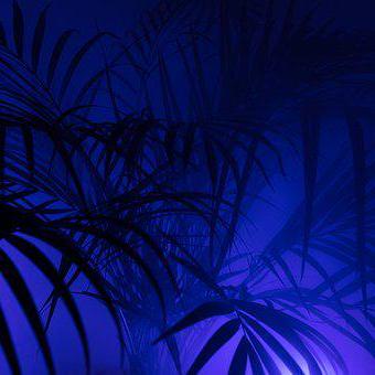 Resherry2020 Sherry Github - Dark Illustrations - Creative Retina Collection