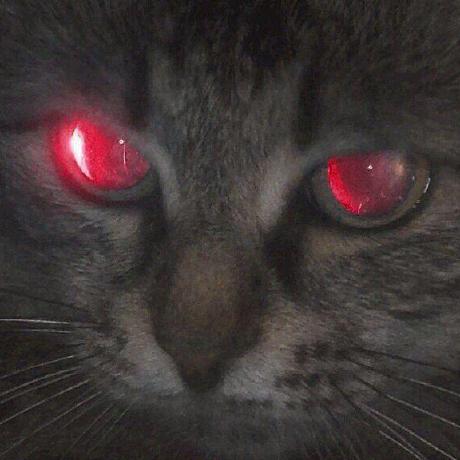 Github Aspliny Pytorch Lab Pytorch - Gorgeous Mobile Landscape Images | Free Download