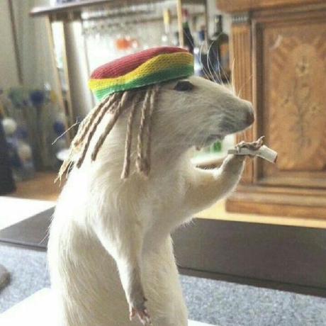 Anmol0e Anmol Chaudhary Github - Premium Ocean Illustration Gallery - Full HD