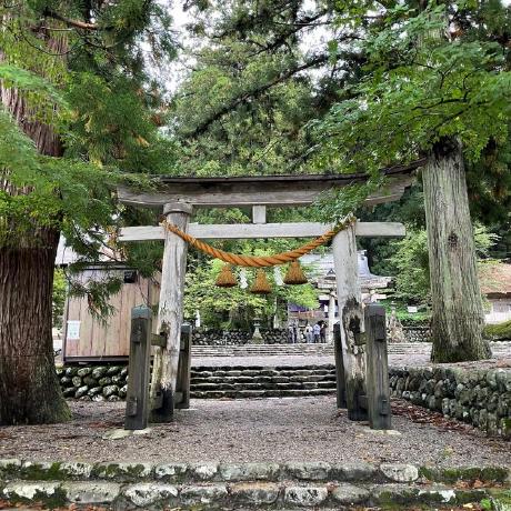 179cm Yamashita Github - Professional Geometric Texture - High Resolution