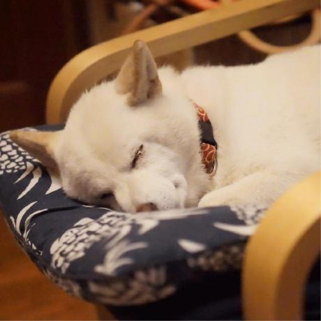 Github Tomura Tacticalprototypecpp - Retina Space Textures for Desktop