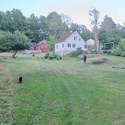 Enfiskutensykkel Jonas Markussen Github - Professional Nature Art - Desktop