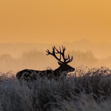 Github Kob H Santa Api - Mountain Photos - High Quality Retina Collection