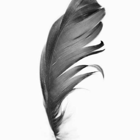 Fast Lightweight Engineering Kit Github - Best Light Designs in Full HD