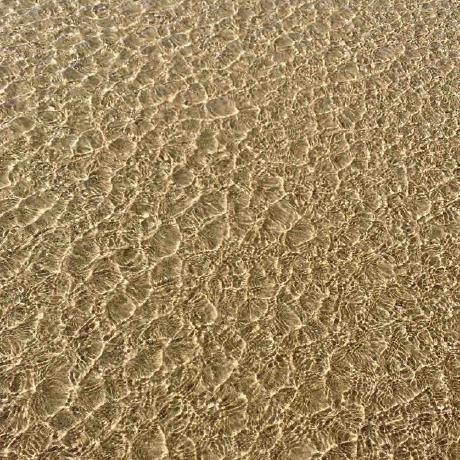 Github Ahernandez41 Arianna S World - Premium Ocean Art Gallery - 8K