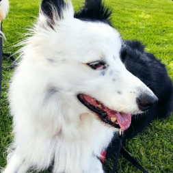 Lmmendes Lu S Mendes Github - Landscape Wallpaper Collection - Full HD Quality