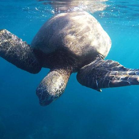 Han Ji Hoon Github - Premium Nature Texture Gallery - High Resolution