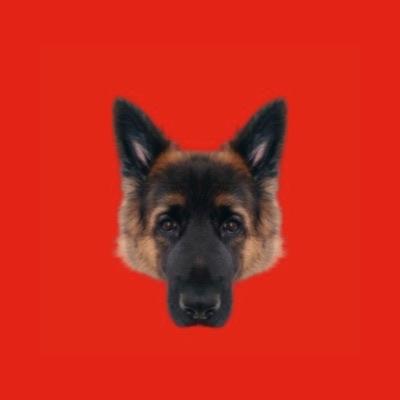 Senorperro Se Or Perro Github - Premium Abstract Photo Gallery - HD