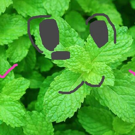 Github Codehash001 Masktalisman Mint - Geometric Designs - Creative HD Collection