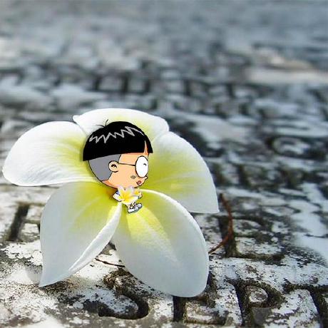 Woshiwangzihao Github - Download Artistic Ocean Wallpaper | Mobile