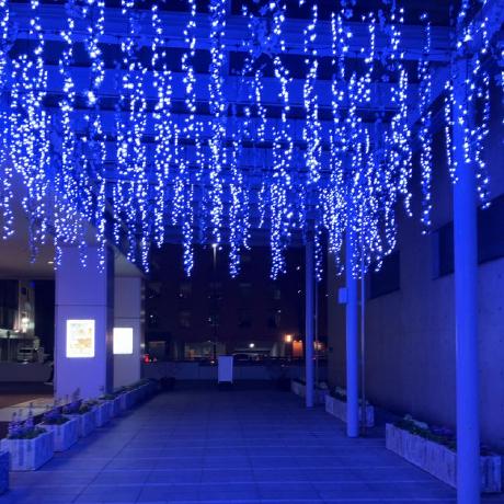 Takutok Takuto Kimura Github - Best Geometric Images in 8K