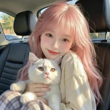 Zi Lin Zi Suzy Lin Github - Light Arts - Stunning High Resolution Collection