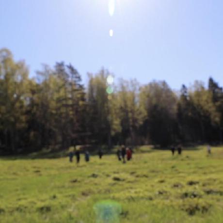 My Nature Outing - Gorgeous Vintage Photo - 8K