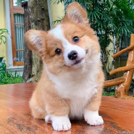 Github Ece445l Ece445l Examples A Repository Containing Example - Creative Light Picture - Mobile