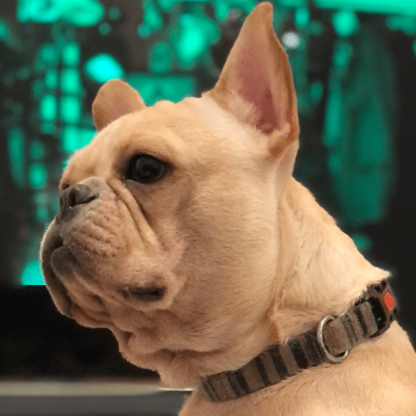 Ryo Murai Ryo Murai Github - Elegant Colorful Picture - Ultra HD