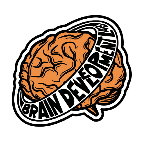 Braindev-lab (Brain Development Lab) · GitHub