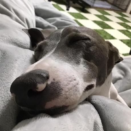 Kentem No Horie Github - Light Illustrations - Elegant High Resolution Collection