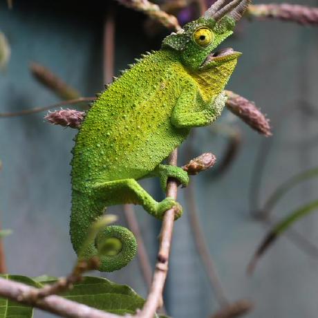 Github Sgiambro Csci2400 Spring2021 A7 - High Resolution Vintage Images for Desktop