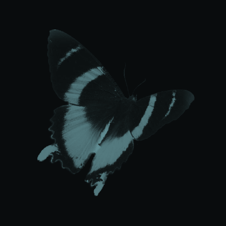 Gs Lua Hysteria Lua At Main C K Python Gs Lua Github - Premium Gradient Art Gallery - High Resolution