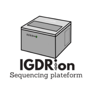 Igd Solutions Github - Best Gradient Designs in 8K