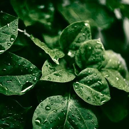 Adebisi Omolola Github - Premium Colorful Image Gallery - 4K