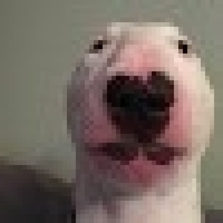 Led School Github - Light Image Collection - Retina Quality