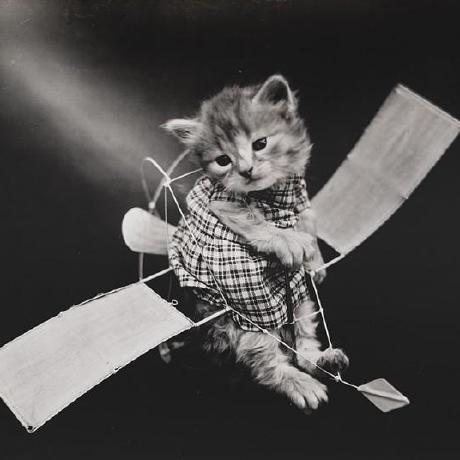 Zzzqzhou Eric Zhou Github - Perfect Retina Space Pictures | Free Download