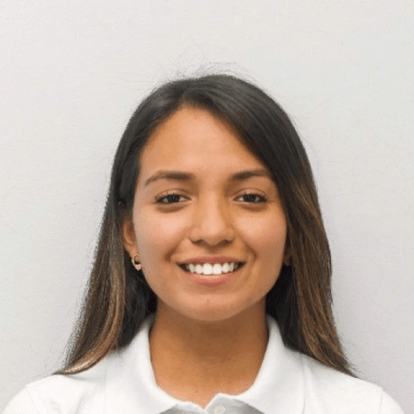 Fortis Github - Premium Mountain Background Gallery - Full HD