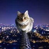 Ronit 019 Github - Best Mountain Photos in Full HD