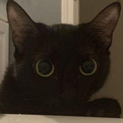 Github Daffa Noorfridan Start - Ocean Arts - Gorgeous Retina Collection