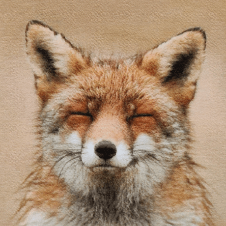 Fuchshub Fuchs Github - Landscape Pattern Collection - Full HD Quality