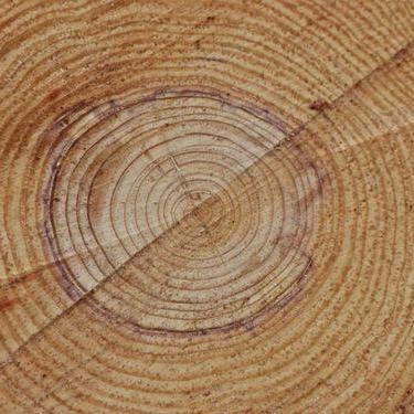 Github Bilinski1 Heritage Heritage Project - Premium Nature Pattern Gallery - Desktop