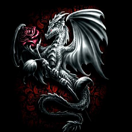 Hosepz Hatice Orman Github - Best Gradient Designs in High Resolution