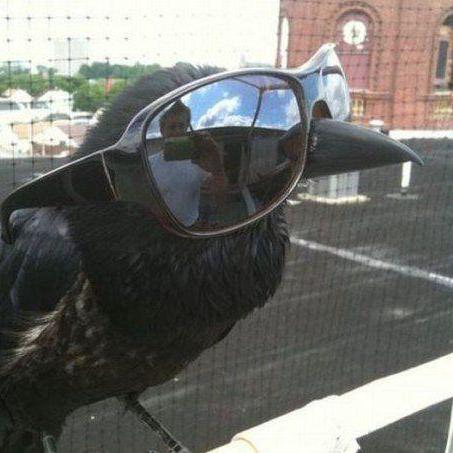 Ms425 Michael Sanders Github - Sunset Images - Classic High Resolution Collection