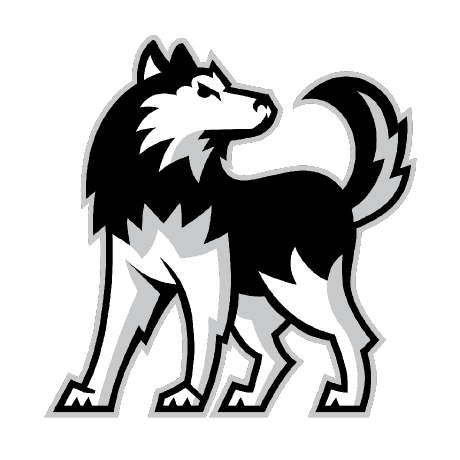 Github 467groupproject Groupproject - Stunning Colorful Illustration - 4K